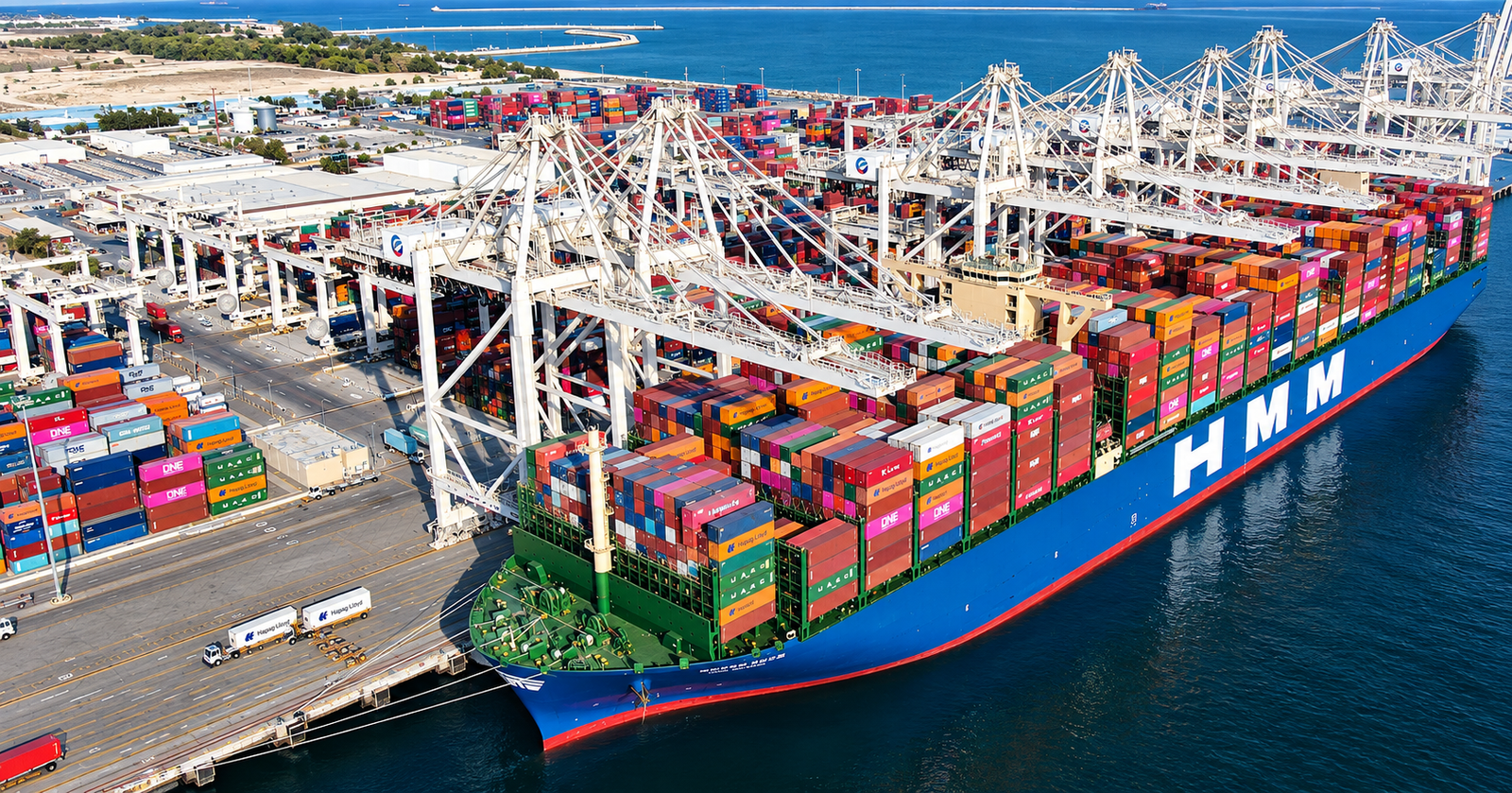 UAE Free Zones and VAT: What Businesses Need to Know About Designated Zones